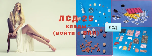 индика Алексеевка