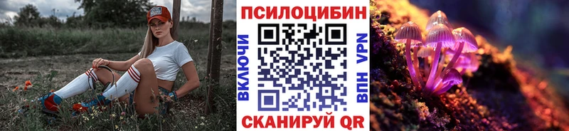 Галлюциногенные грибы мицелий  OMG ссылка  Билибино 